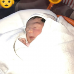 ocampos