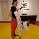ibrahimovic