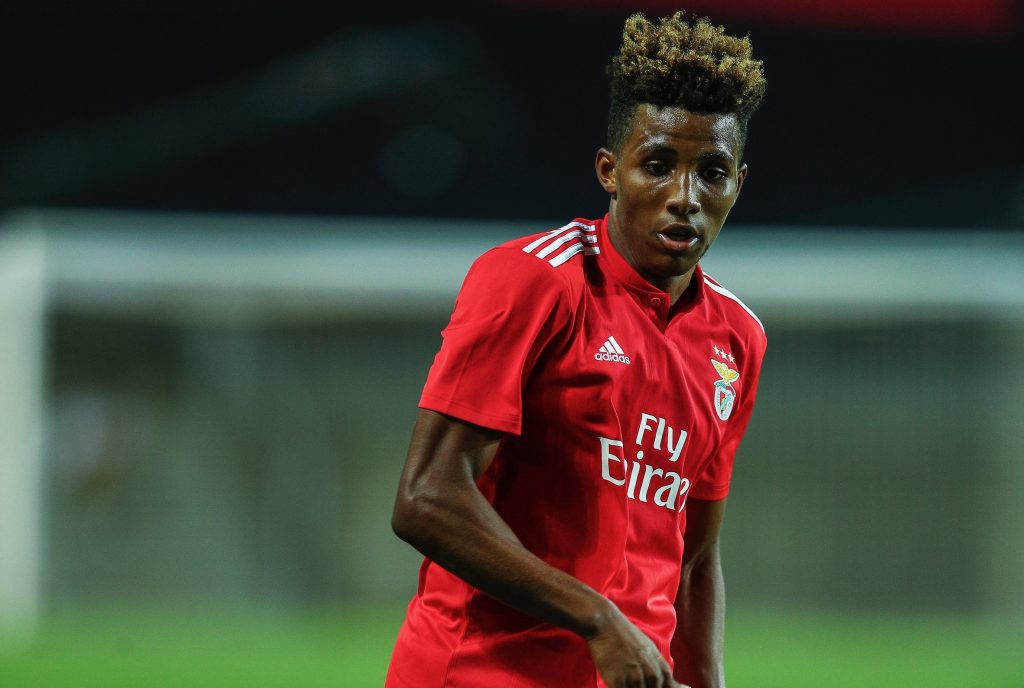 Gedson Fernandes Benfica