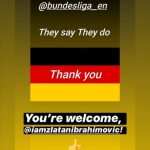 bundesliga