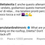 ibrahimovic