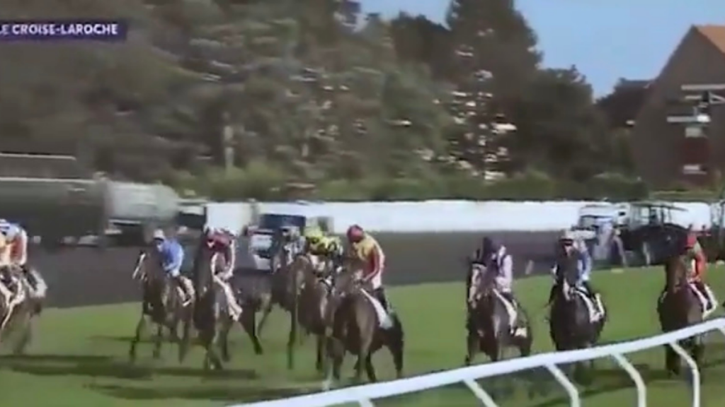 Cavallo Pellegatti Allegri