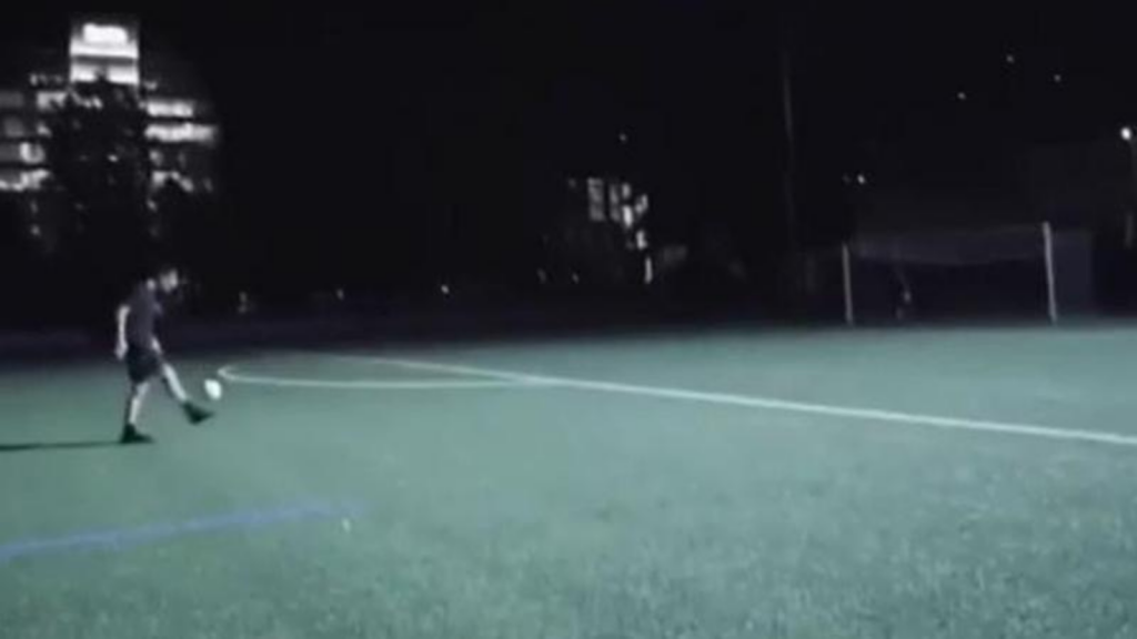 Zlatan Ibrahimovic