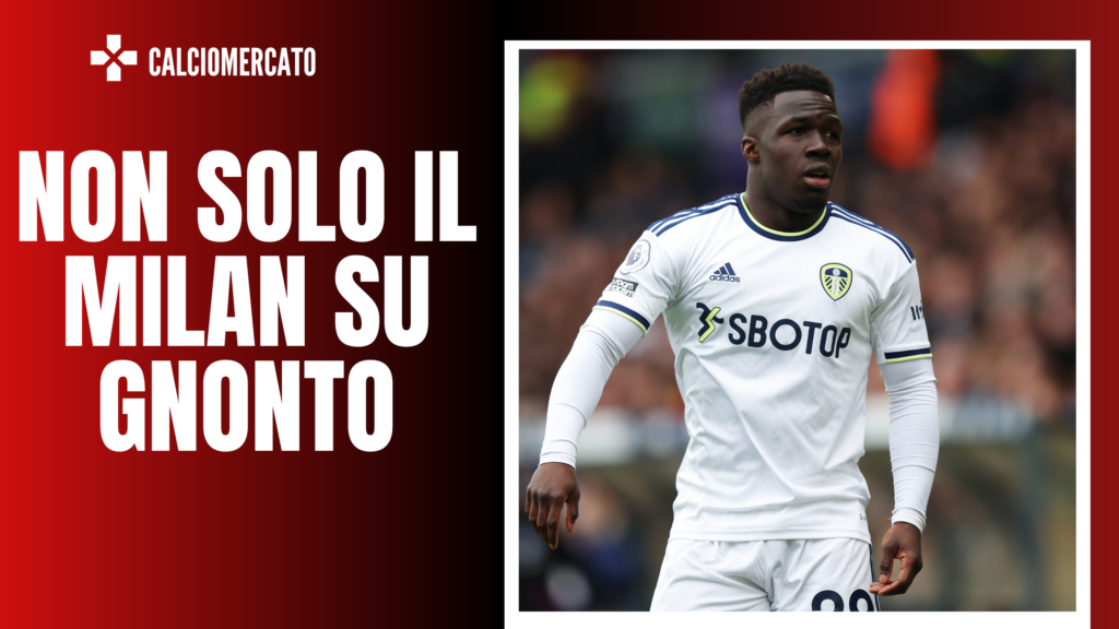 Wilfried Gnonto obiettivo del Milan