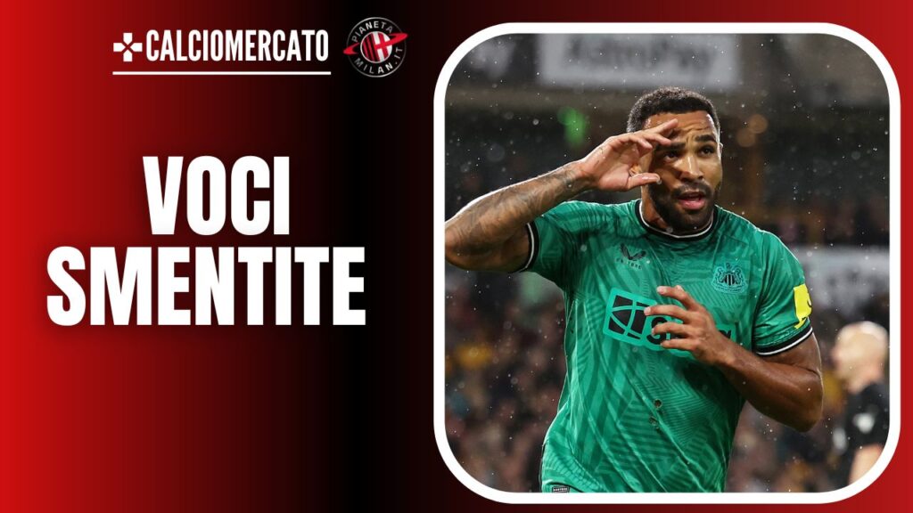 Callum Wilson Newcastle
