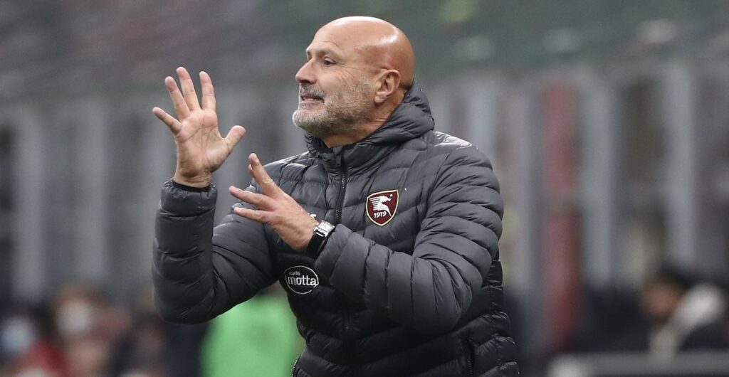 Stefano Colantuono Salernitana