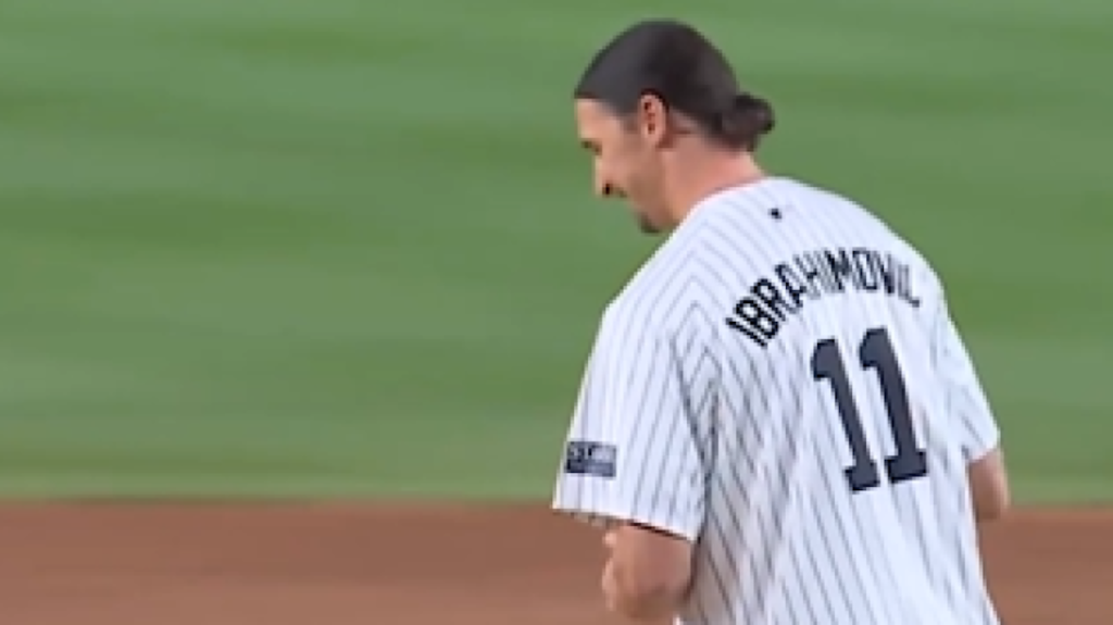 Milan Ibrahimovic New York Yankees MLB