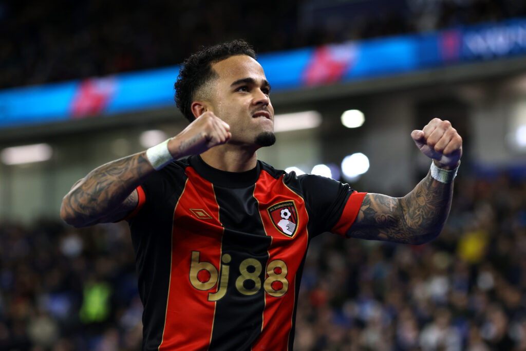 Brighton &amp; Hove Albion FC v AFC Bournemouth - Premier League