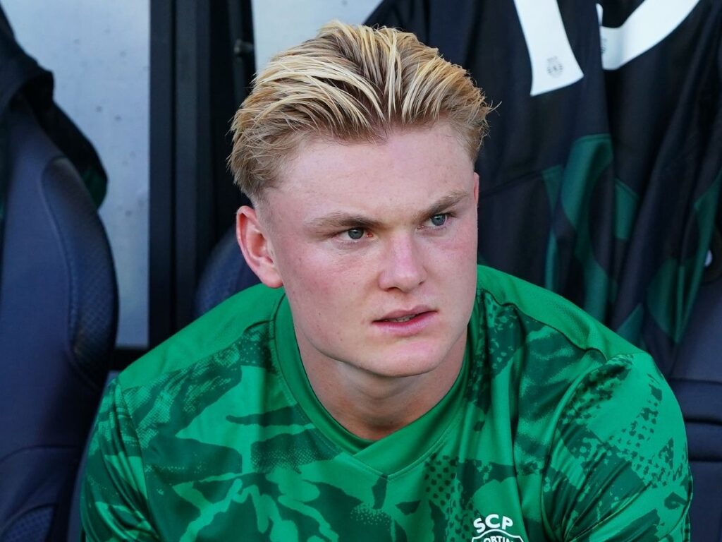 Calciomercato Milan, ecco i due nomi per l'attacco se salta Harder