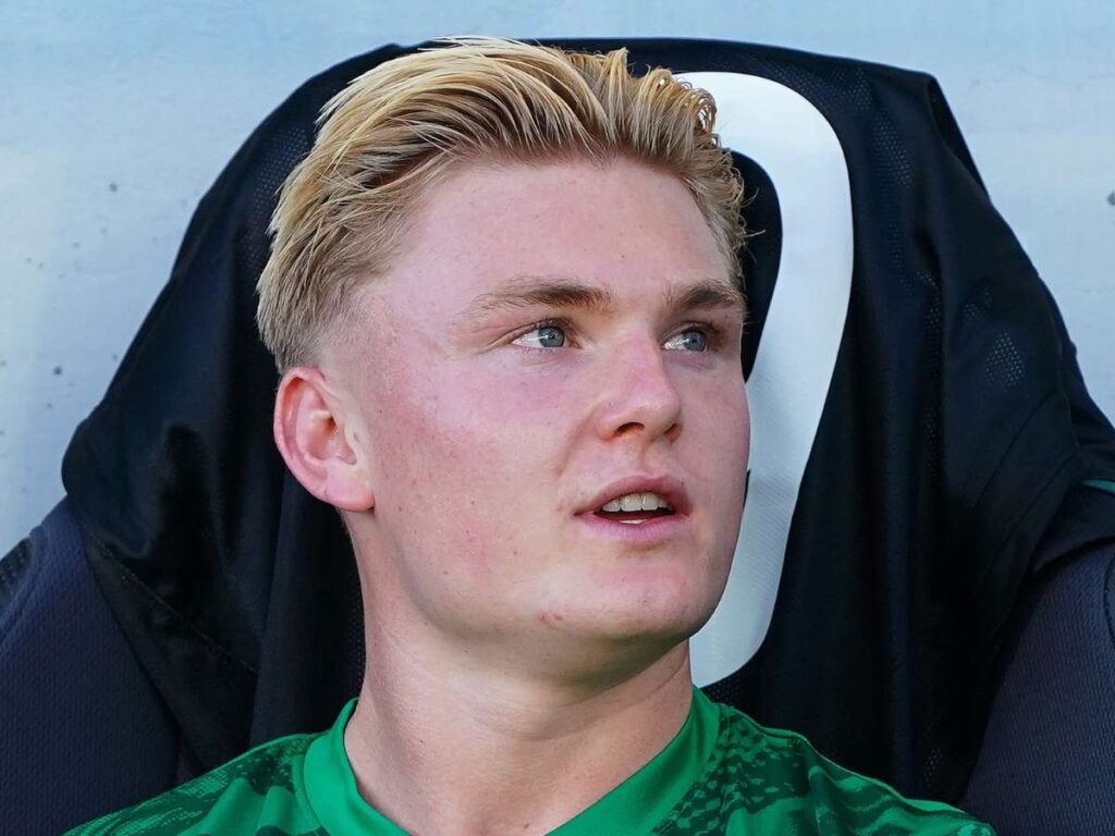Calciomercato Milan, niente fumata bianca con Harder: no del giocatore a ...