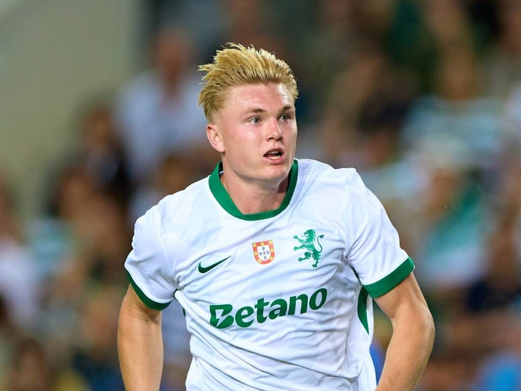 Calciomercato Milan, accordo per Harder! Su Vlahovic e Arokodare ...