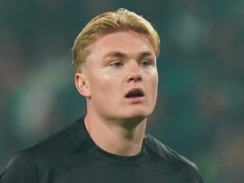 Calciomercato Milan, Pedullà: "Fare Harder-Gimenez è una follia. Vlahovic ..."