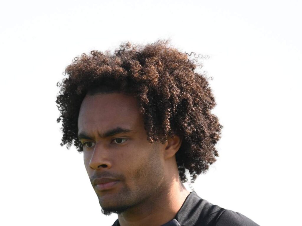Roma e Milan di nuovo sulle tracce di Zirkzee. Calamai: "Farebbe più comodo a ..."