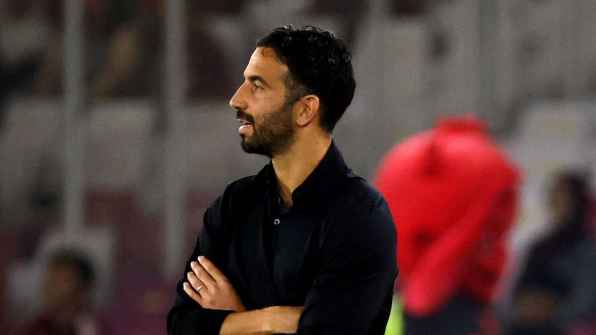 Milan, Pellegatti: "Allegri aveva capito tutto. Ad Amorim servono 6-7 colpi. La mia paura ..."