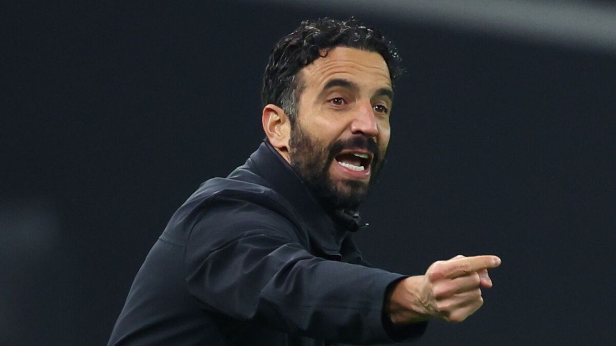 Pellegatti sul Milan: "Ho un rimpianto. Amorim sta ottenendo buoni risultati". Quota punti e infortuni