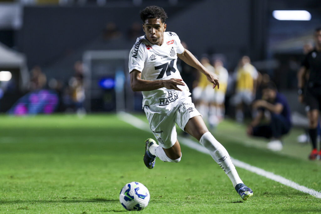 Santos v Palmeiras - Brasileirao 2025