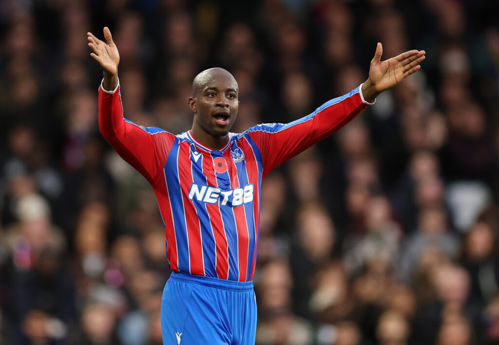 Crystal Palace v Brighton &amp; Hove Albion - Premier League